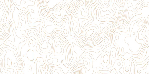Abstract topographic map contour lines pattern on white background with topographic abstract geography elevation background cartography minimalist © MD