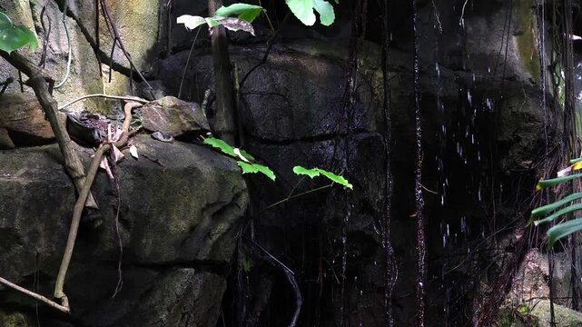 Small waterfall ending up in nature pool with blue water.