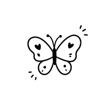 butterfly