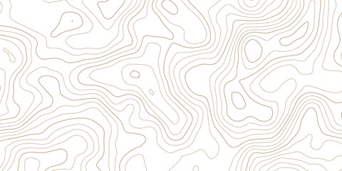 Abstract topographic map contour lines pattern on white background with topographic abstract geography elevation background cartography minimalist © MD