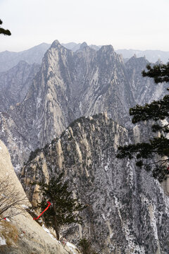 Jagged Peaks and Pine Tree on Mount Huashan