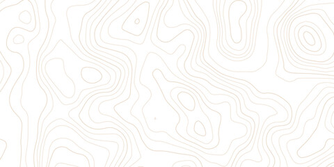 Abstract topographic map contour lines pattern on white background with topographic abstract geography elevation background cartography minimalist © MD