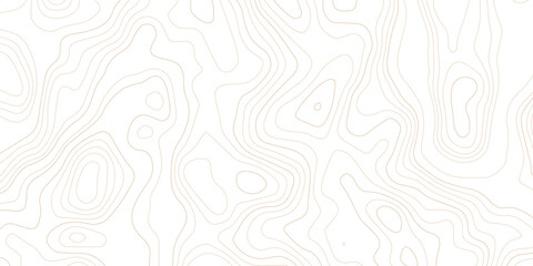 Abstract topographic map contour lines pattern on white background with topographic abstract geography elevation background cartography minimalist © MD