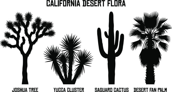 California Desert Flora Silhouette Vector Set Featuring Joshua Tree, Yucca Cluster, Saguaro Cactus, and Desert Fan Palm Icons Isolated on White Background