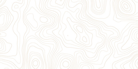 Abstract topographic map contour lines pattern on white background with topographic abstract geography elevation background cartography minimalist © MD