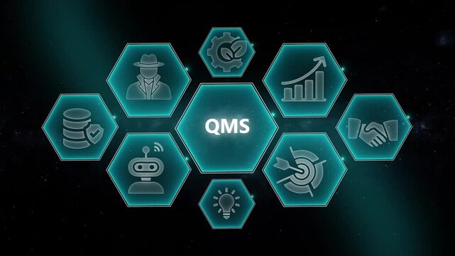 Qms management system infographic with digital business