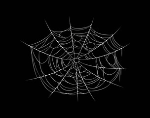 Halloween cobweb spiderweb with stretched threads of spider web texture, isolated vector. Spooky tarantula cobweb or scary spiderweb for Halloween holiday and trick or treat party decoration element © Seavector
