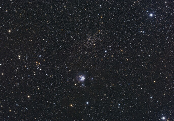 The Flower Bud Nebula in Cepheus © Kitt