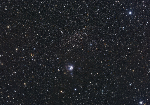 The Flower Bud Nebula in Cepheus
