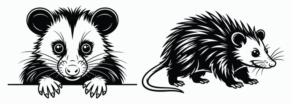 Funny Possum Silhouette Bundle Hand Drawn Black White, Cute Opossum Vector Illustration, Wildlife Opossum Animal Set