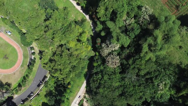 Aerial view of lush forest covering the hills in Bandung, West Java, Indonesia