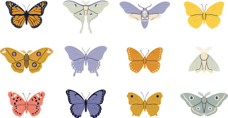 Butterfly and Moth Insect Species Vector Icon Set Featuring Monarch Luna Moth Death Head Hawkmoth Swallowtail and Silk Moth for Nature Project Designs © Rownok