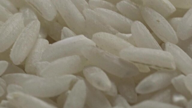 Macro view of white rice grains revealing texture, shape, and surface details, showcasing uncooked staple food ingredient in close perspective.