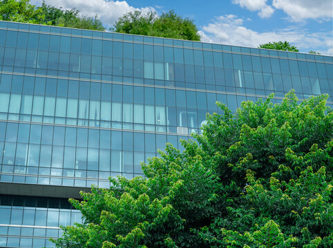 Eco-friendly building in modern city. Sustainable glass office building with trees for reducing carbon dioxide. Office building with green environment. Corporate building reduce CO2. Net zero emission