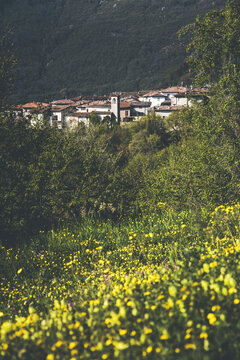 spring fields and yellow blossoms, and in the background the town of tignale, italy