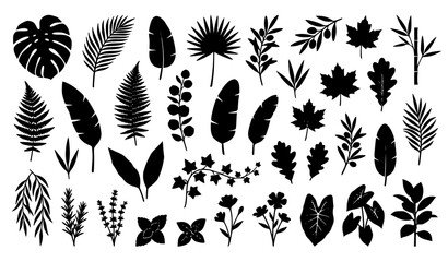 Black Botanical Leaf Silhouette Set with Tropical and Garden Plant Vector Illustration © MSTSHABANA