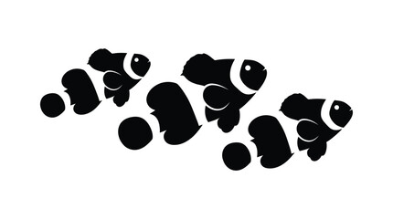 Clownfish School Silhouette Against White Background amphiprioninae © Rajia