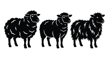 Three Sheep Silhouettes In Black And White Minimalist Style Silhouette © asma