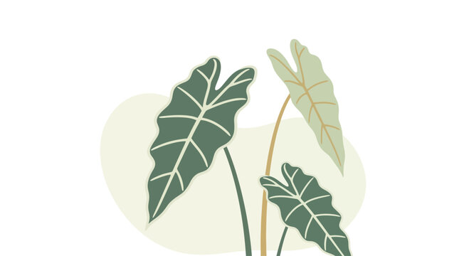 Abstract Elephant Ear Plant Leaves, Minimalist Botanical Illustration, Modern Home Decor Art