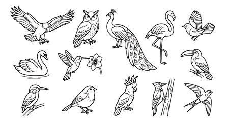 Fototapeta premium Minimalist bird line art collection, set of 13 wild bird vector icons, black and white avian illustrations for coloring and logo design