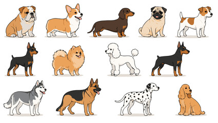 Cartoon dogs of different breeds standing and sitting on white background © Shawon
