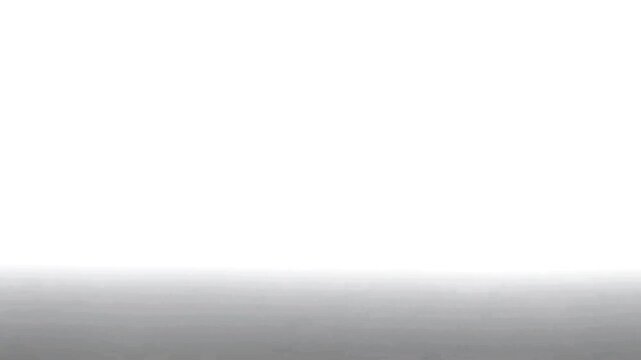 Scene Video Analysis Not Possible Due to Missing Visual Data