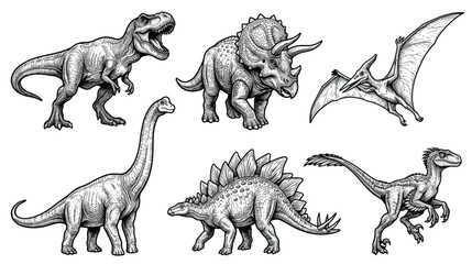 Vintage dinosaur engraving collection, set of 6 prehistoric animal vector illustrations, hand drawn sketch of T-Rex Triceratops and Stegosaurus © chouadhrynuman