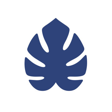 Monstera leaf silhouette