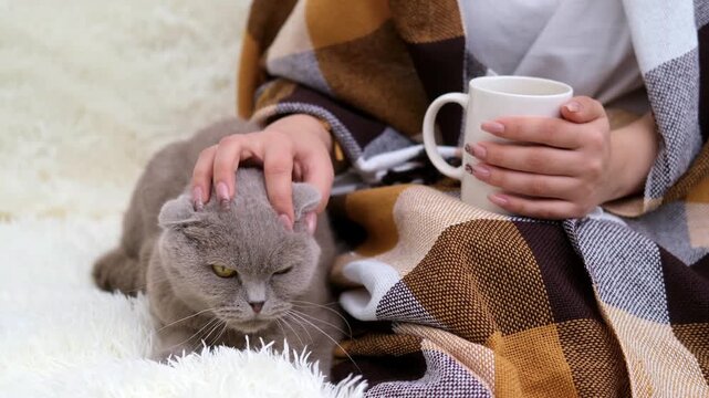Female hands holding a white mug of coffee