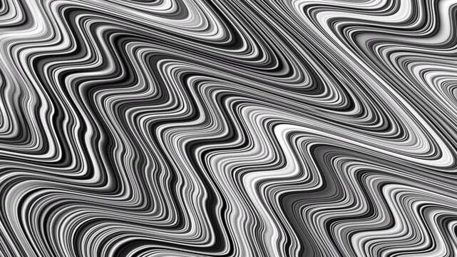 Hypnotic Monochrome Zebra Stripe Distortion Optical Illusion Black And White Wave Loop