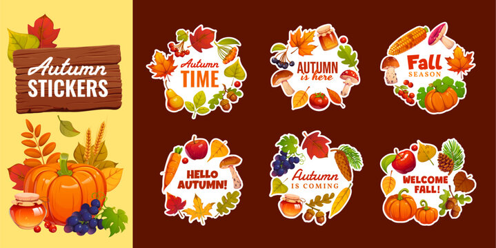 Autumn fall season frame stickers with cartoon leaves, harvest fruit and vegetables, acorns and mushroom borders. Autumn wreath frames with chestnut, maple and oak leaves, pumpkin, apple and wheat