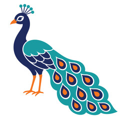 Fototapeta premium Elegant Peacock Vector Illustration with Decorative Teal and Blue Feathers on White Background