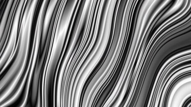 Hypnotic Monochrome Zebra Stripe Distortion Optical Illusion Vertical Black And White Wave Loop
