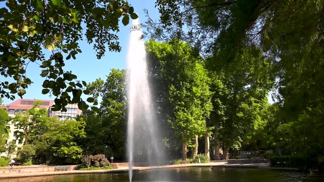 High jet fountain rises from a pond in Bockenheimer Anlage park on a clear summer day, framed by dense green trees.