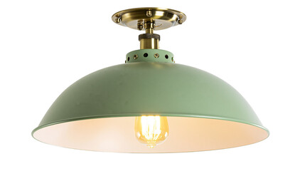 Green metal dome ceiling light with brass accents and Edison bulb, isolated on transparent background © Emilia