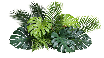 Lush green monstera and palm leaves arrangement, isolated on transparent background © Emilia