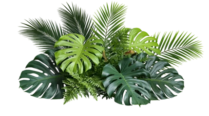 Fototapete Tropisch Lush green monstera and palm leaves arrangement, isolated on transparent background  © Emilia