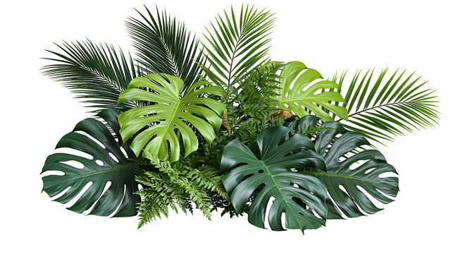 Lush green monstera and palm leaves arrangement, isolated on transparent background