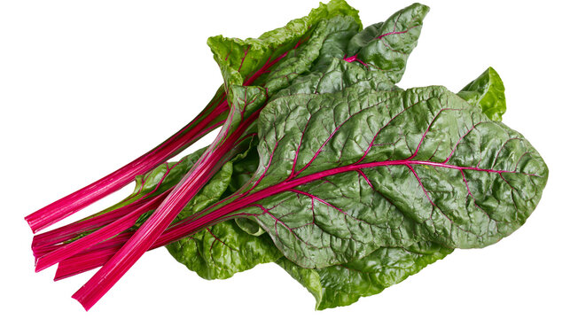 Fresh red chard stems and green leaves, isolated on transparent background