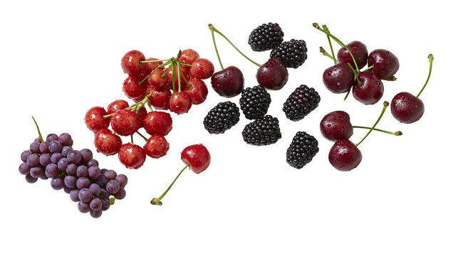 Fresh purple grapes red cherries and blackberries scattered, isolated on transparent background