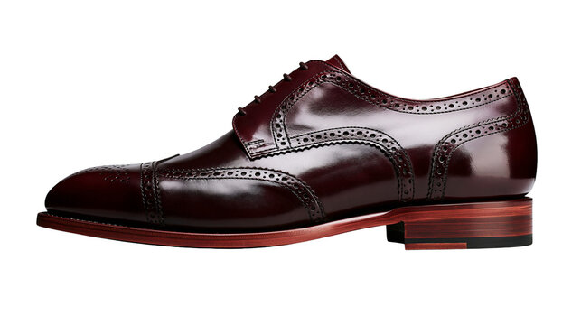 Polished burgundy leather wingtip brogue oxford shoe detailed with perforations, isolated on transparent background