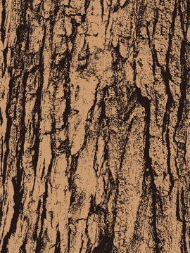 Grunge tree bark texture vector design