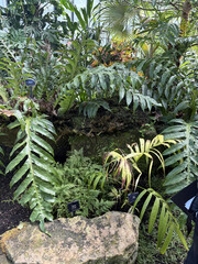 Fototapeta premium a small garden with plants and rocks
