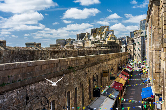 A seagull flies past the historic city walls of Saint Malo in France