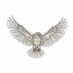 Fototapeta premium Detailed Line Drawing of a Soaring Eagle Bird.