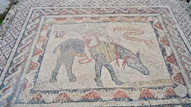 Ancient roman floor mosaic in Volubilis, Morocco depicting a man on a donkey
