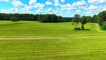 Naklejka premium Vast emerald green grass field under a clear blue sky with fluffy white clouds