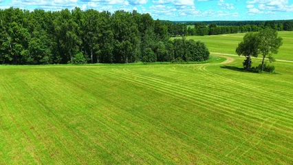 Green grass field with cut patterns and trees under a bright blue sky view © NBLX