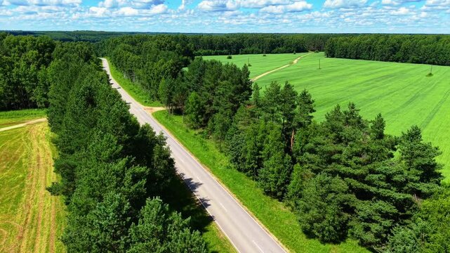 Aerial view of winding road bordered by lush trees and vibrant green fields during daytime