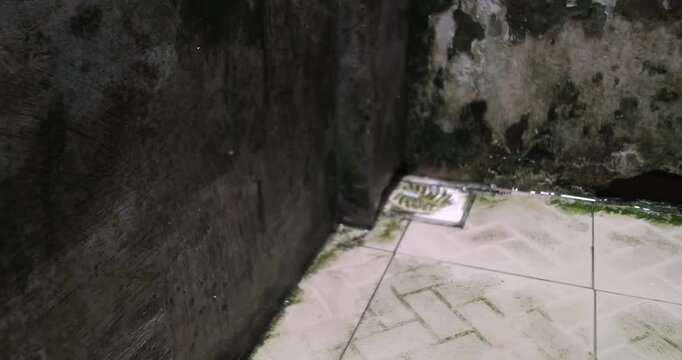 Aerial view of a concrete structure with mossy walls and a dark background.